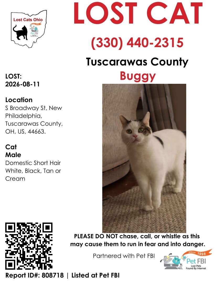 Lost cat in New Phila - WJER Radio 100.9FM & 1450AM